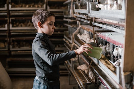 Top 9 Tips for Healthy and Productive Poultry Farming Practices