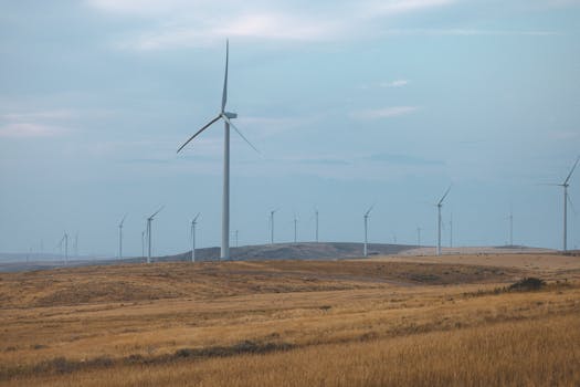 Rural Farming: The Path to a Sustainable Future Through Eco-Friendly Practices