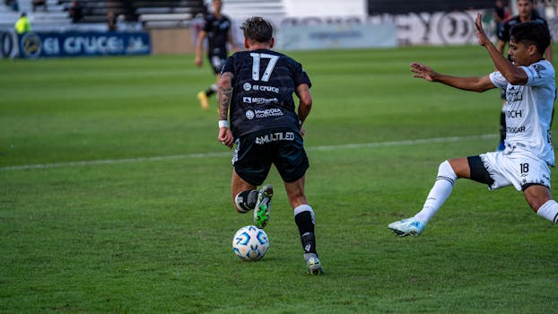 Defend Your Game Birds: Strategies to Prevent Natural Predator Attacks